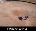 RC8 e X2 CRT Bolhas (7)